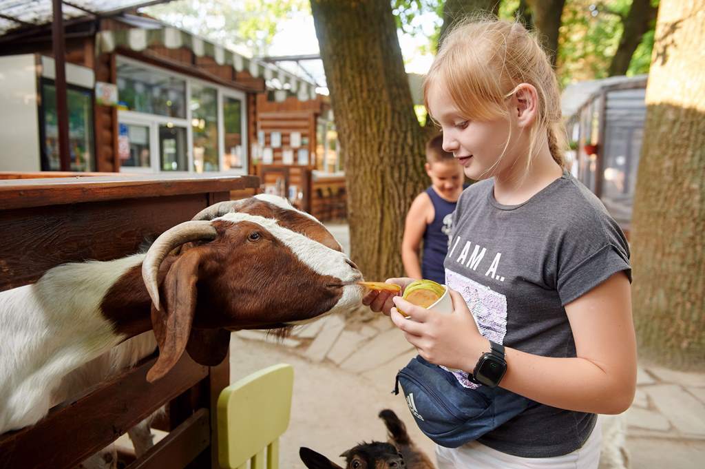 Літо прямує до Києва: кращі розваги для всієї сім'ї на ВДНГ